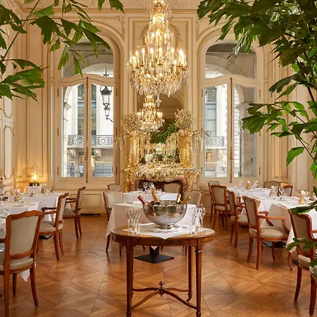 Regina Louvre